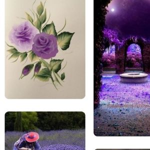 💜VIOLET BEAUTY💜